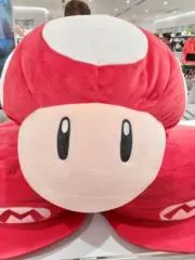 ちょこの画像