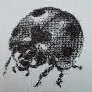 TOMOMOMoプロフ読んでお得に(^^の画像