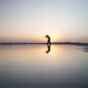nkの画像