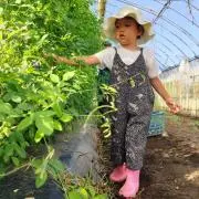 ここたの画像