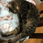 ミズ