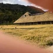 seaパラの画像