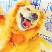 なおき