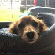 むたろー