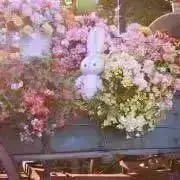 Naの画像
