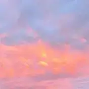 てんの画像