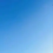 タクトの画像