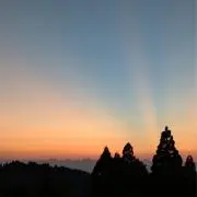 ゆうきの画像