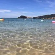 ねねの画像