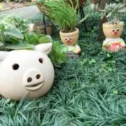ミミ