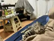 タケちゃん