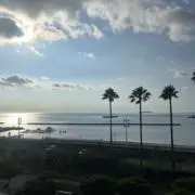 まめの画像