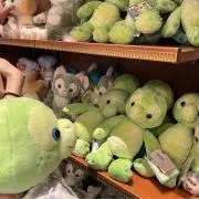 ぴろの画像
