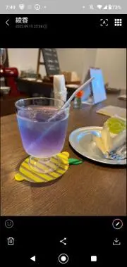 ぺんぎんの画像