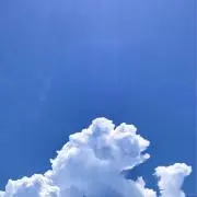 にーの画像