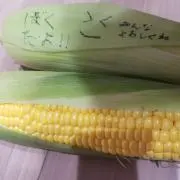 とうもろこしの画像