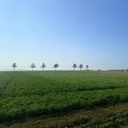 あきちの画像