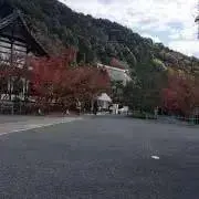 シナモン（プロフィール見てください！）の画像