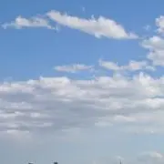 kinacoの画像