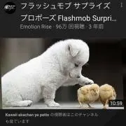 モアサナイト 黄金の雫 1.00ct ゴールデンモアサナイト ダイヤモンド 