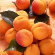 あん 土日祝発送不可★便未定★の画像