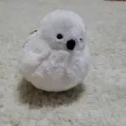 日凪の画像