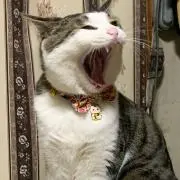 てと