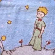 コチカ