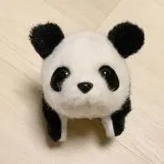 マルジョレーヌの画像