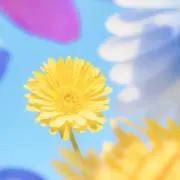 Naiの画像