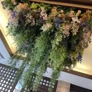 ちー②の画像