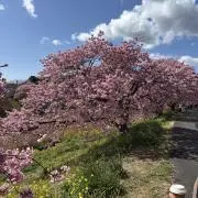 Ha.Naの画像