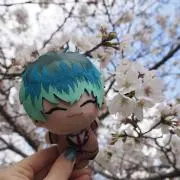 しじまちゃん※長毛ネコいますの画像
