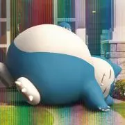 ちぬの画像