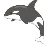シャチママの画像