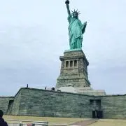 きなこの画像