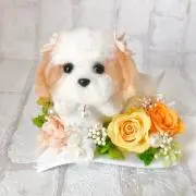 りーれ