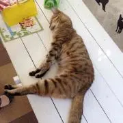 みっつ