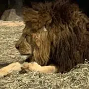 k-u