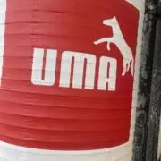 ビジャレアル！の画像