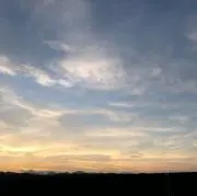 riicaの画像