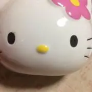 ここちゃん