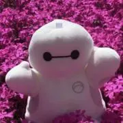マロの画像