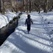 11N16Fの画像
