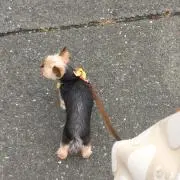 鈴木 聡