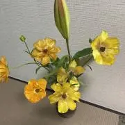 KMYTの画像