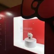 ゆの画像