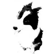 とし