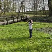 バッハの画像