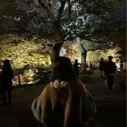 らんの画像